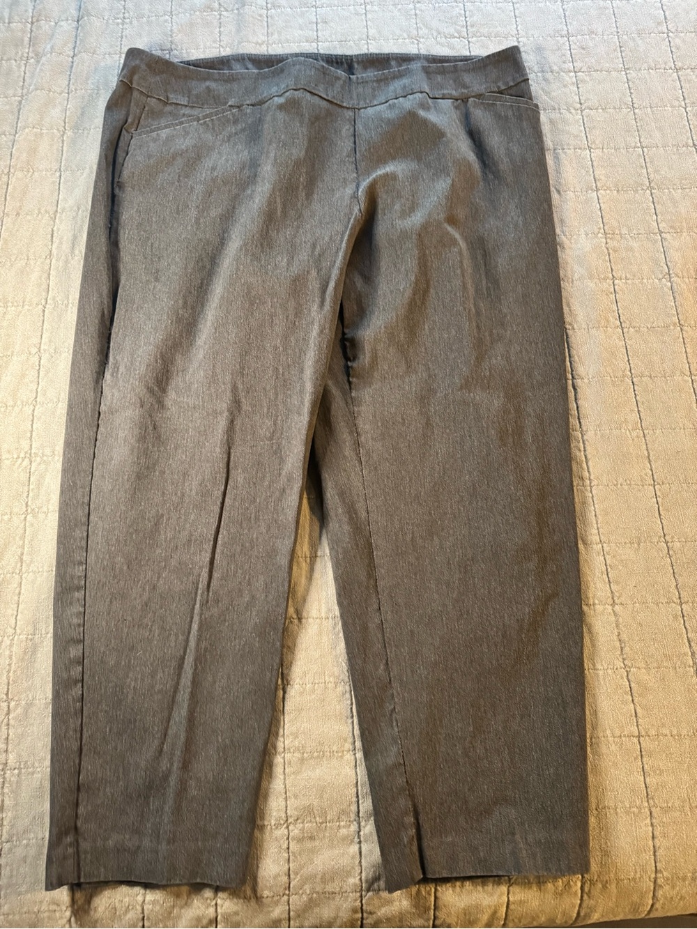 Terra & Sky Charcoal Stretch Dress Pants